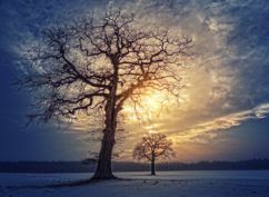 Veillée symbolique : Le solstice d’hiver Yule et les fêtes de Noël