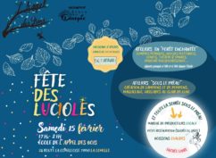 Fête des lucioles