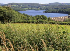 Balade nature au cœur du Morvan : le lac de Pannecière