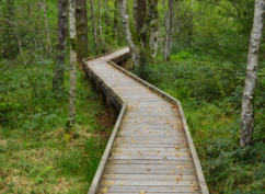 Le sentier de la Maison des Hommes et des Paysages