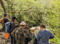 Le Saut de Gouloux, un site emblématique du Morvan