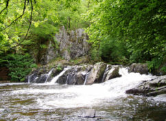 Le Saut de Gouloux, un site emblématique du Morvan